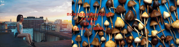 тгк Липки