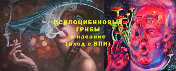 соль курить ск Ладушкин