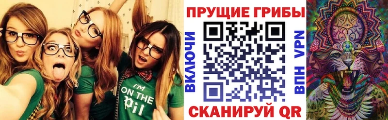omg   Починок  Псилоцибиновые грибы ЛСД  как найти наркотики 